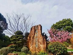 -昆山城市生态森林公园