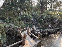 -秋霞圃