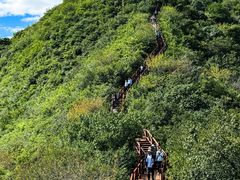-大岭沟猕猴桃谷风景区