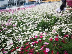 -海心沙亚运公园