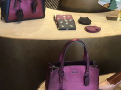 -COACH蔻驰(顺城购物中心店)