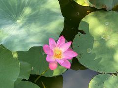 -南戴河国际娱乐中心