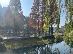 -温江公园