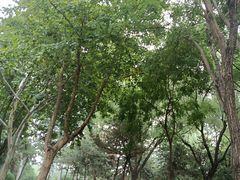 -石家庄市动物园