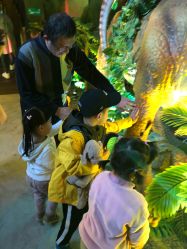 -恐龙探索乐园(磁器口店)