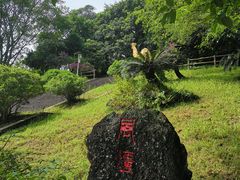 -海口火山口国家地质公园