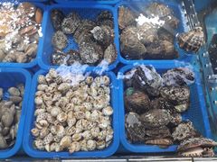 -亚龙湾8号(丁村万人海鲜广场店)