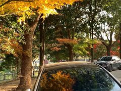 -九龙潭景区