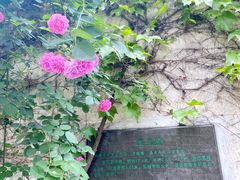 -乌镇东栅景区