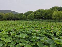 -云龙湖旅游景区