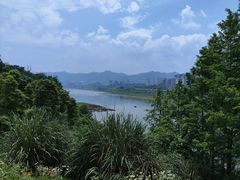 -金海湾滨江公园
