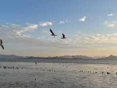 -深圳湾公园(南山区)