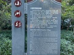 -小洲村