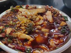 -老杨砂锅鱼庄