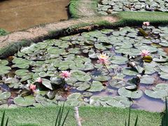 -广西壮族自治区药用植物园