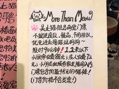 菜单-more than meow吴止猫主题餐厅(承德 中船汇店)