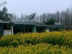 -田园东方蜜桃村的田野营地