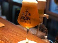 双倍IPA-TINY