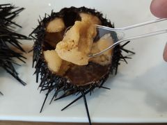 -海胆小馆(东北水饺·春柳店)