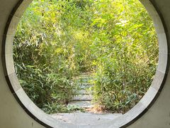 -八大山人梅湖景区