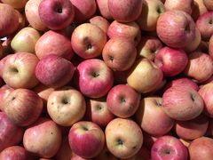 -瑞尔福超市(明珠广场店)