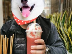 -喜茶(广州北京路惠福东店)