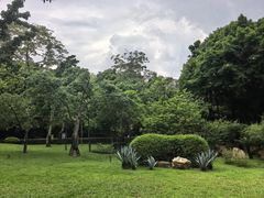 -晓港公园