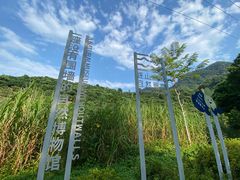 -马峦山郊野公园