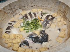 -云海肴云南菜·蒸汽石锅鱼(青岛万象城店)