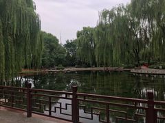 -玲珑塔公园