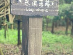 -广富林郊野公园