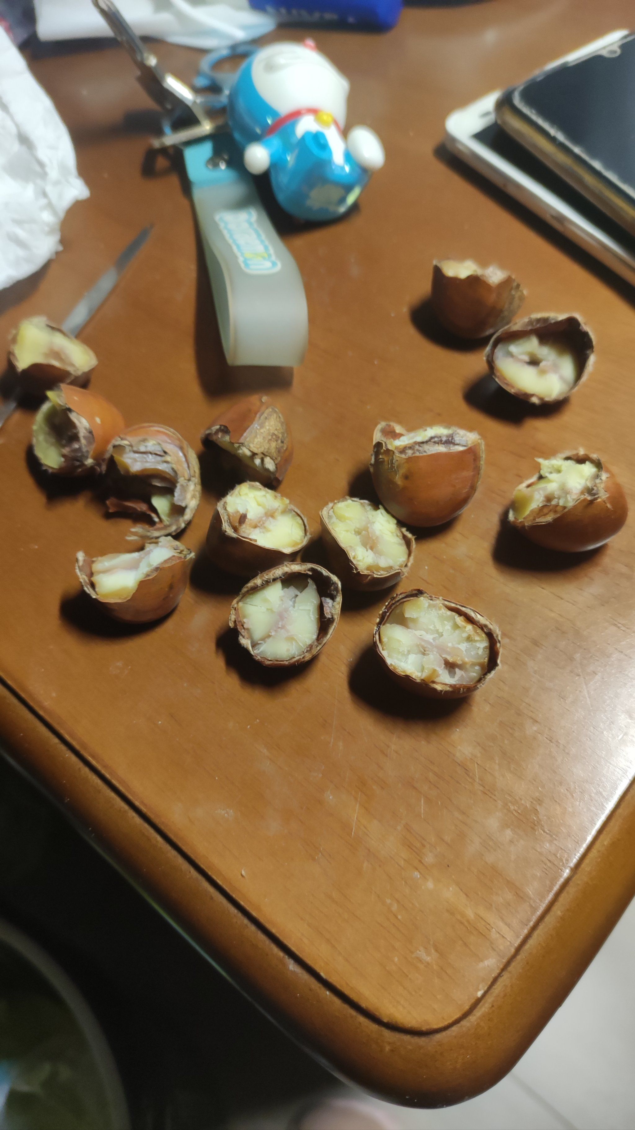 没开口的板栗好难剥啊