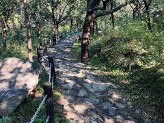 -阳台山自然风景区