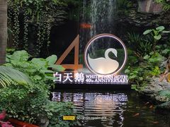 -白天鹅宾馆·流浮阁咖啡厅