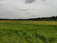 -塞罕坝国家级自然保护区