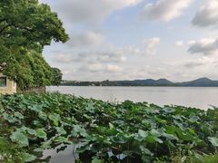 -湖畔居茶楼(湖滨店)