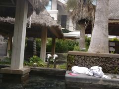 -天芳悦潭度假村温泉