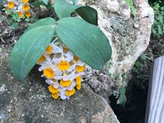 -南通洲际绿博园