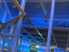 -王家渡火锅店(棕榈泉店)