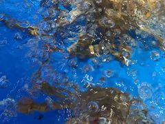 -徐记海鲜(大雁塔|金都店)