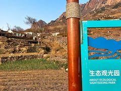 -灵山岛风景区