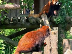 -宁波野生动物园