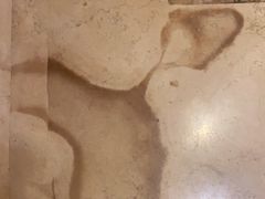 -候鸟水榕庄度假酒店
