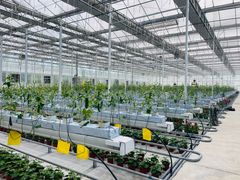 -北京市海淀外国语实验学校