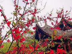 -棠湖公园