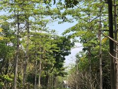 -广东花都香草世界旅游度假区