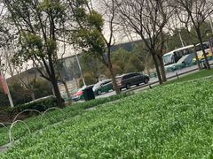 -证大喜玛拉雅中心