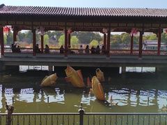 -南汇桃花村
