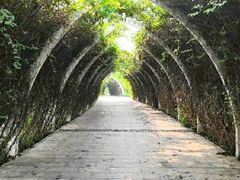 -天津东丽湖风景区