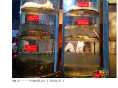 -七椒渔府·特色雅鱼餐厅(雨城店)
